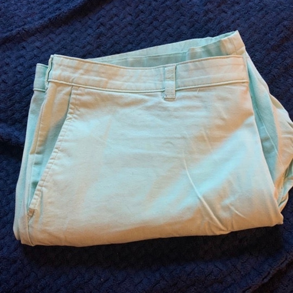 Men's Club Room Shorts in Seafood Size 44W